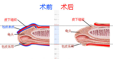 齐齐哈尔中都医院做检查